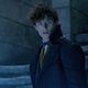 Illustration for article titled Weekend Box Office: Grindelwald's spells are strong, but J.K. Rowling's powers seem to be dimming
